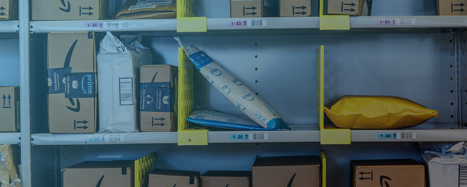 Dropshipping on Amazon vs. your own online store: Which is the best choice for your business?