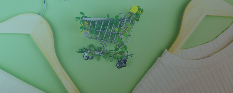 Sustainability in dropshipping: environmentally friendly products and climate-neutral shipping