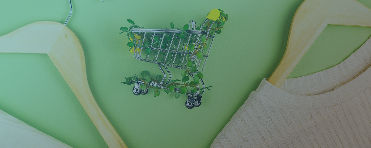 Sustainability in dropshipping: environmentally friendly products and climate-neutral shipping