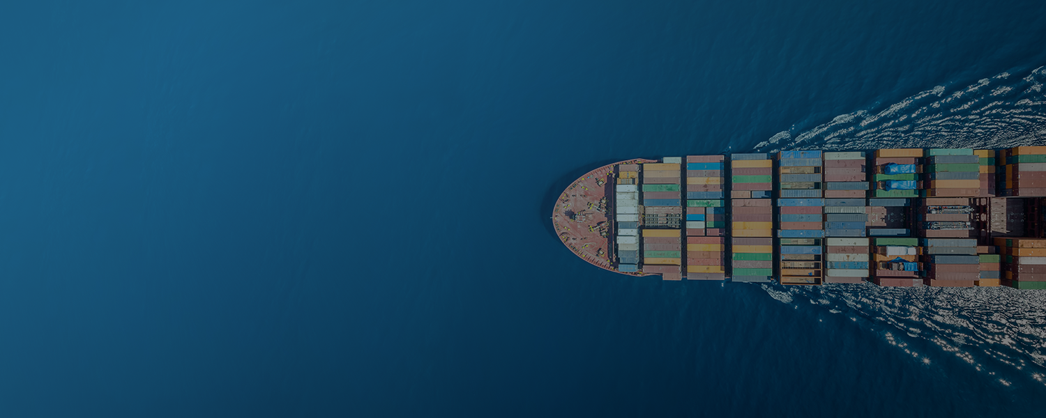 Logistics optimization in dropshipping How to get your supply chain on the road to success